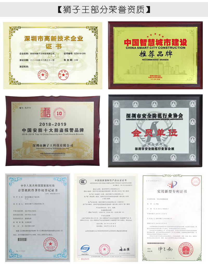 獅子王資質證書